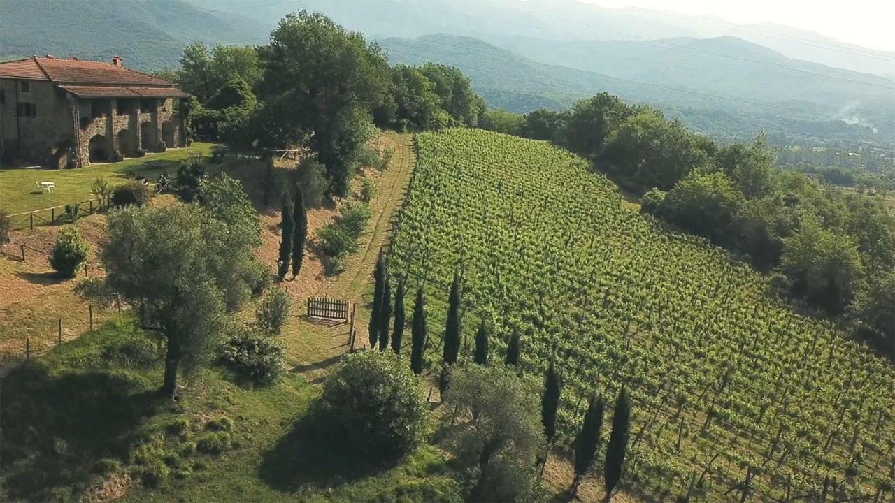 Agriturismo Ca Del Bosco Farm stay Mulazzo